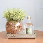 Arranjo De Folhagem Eucalipto Artificial No Vaso De Vidro | F